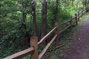 Errol Heights Portland Oregon | Living in Oregon: Moving Tips, Cost of Living & Best Cities