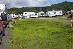 Your Old Mill RV Park Oregon Getaway: Camping & More! Living in Oregon: Moving Tips, Cost of Living & Best Cities Your Old Mill RV Park Oregon Getaway: Camping & More! | Living in Oregon: Moving Tips, Cost of Living & Best Cities