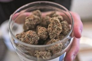 Dispensaries Redmond Oregon | Living in Oregon: Moving Tips, Cost of Living & Best Cities