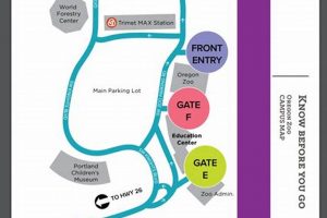 Oregon Zoo Parking: Tips, Fees & Transit Options | Living in Oregon: Moving Tips, Cost of Living & Best Cities