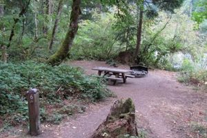 Lazy Bend Campground Oregon | Living in Oregon: Moving Tips, Cost of Living & Best Cities