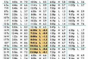 Lincoln City Tides: Oregon's Coastal Water Levels Explained | Living in Oregon: Moving Tips, Cost of Living & Best Cities