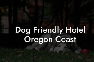 Pet Friendly Hotels Salem Oregon | Living in Oregon: Moving Tips, Cost of Living & Best Cities