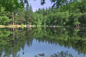 Serene Hebo Lake Oregon: Hiking & Nature Escape | Living in Oregon: Moving Tips, Cost of Living & Best Cities