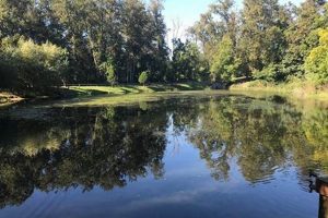 Canby Oregon Hotels: Your Best Stay + Deals! | Living in Oregon: Moving Tips, Cost of Living & Best Cities