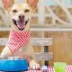 Best Dog Friendly Restaurants in Bend, OR: Guide | Living in Oregon: Moving Tips, Cost of Living & Best Cities