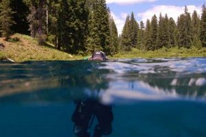Your Guide to Clear Lake Oregon Fishing Adventures | Living in Oregon: Moving Tips, Cost of Living & Best Cities