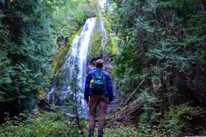 Best Hiking Near Eugene, Oregon: Trails & Tips | Living in Oregon: Moving Tips, Cost of Living & Best Cities