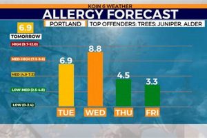 Portland, OR Pollen Count: Allergy Forecast &amp; Tips | Living in Oregon: Moving Tips, Cost of Living & Best Cities
