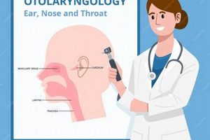 Find Top-Rated ENT Doctor in Eugene, OR: Care & Relief | Living in Oregon: Moving Tips, Cost of Living & Best Cities