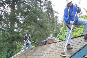 Roof Cleaning Salem Oregon Living in Oregon: Moving Tips, Cost of Living & Best Cities Roof Cleaning Salem Oregon | Living in Oregon: Moving Tips, Cost of Living & Best Cities
