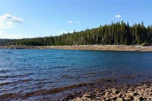 Escape to Four Mile Lake Oregon: Camping & Fishing! Living in Oregon: Moving Tips, Cost of Living & Best Cities Escape to Four Mile Lake Oregon: Camping & Fishing! | Living in Oregon: Moving Tips, Cost of Living & Best Cities