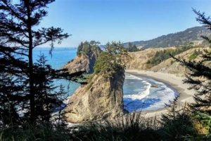Gold Beach Pet Paradise: Find Pet-Friendly Hotels in Oregon | Living in Oregon: Moving Tips, Cost of Living & Best Cities