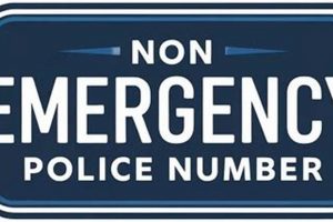 Eugene, OR: Non-Emergency Police + When to Call Living in Oregon: Moving Tips, Cost of Living & Best Cities Eugene, OR: Non-Emergency Police + When to Call | Living in Oregon: Moving Tips, Cost of Living & Best Cities