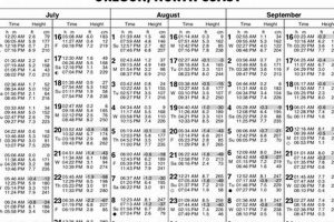 Lincoln City Oregon Tides: Tables, Times & More Living in Oregon: Moving Tips, Cost of Living & Best Cities Lincoln City Oregon Tides: Tables, Times & More | Living in Oregon: Moving Tips, Cost of Living & Best Cities