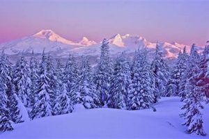Bend Oregon Snow: When &amp; How Much Does it Snow in Bend Oregon? | Living in Oregon: Moving Tips, Cost of Living & Best Cities
