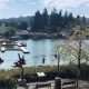 Your Guide to Pizzicato Pizza in Lake Oswego, OR | Living in Oregon: Moving Tips, Cost of Living & Best Cities