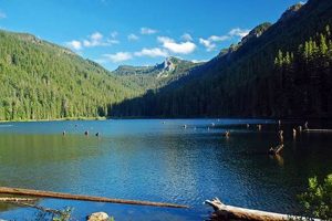 Escape to Pamelia Lake, Oregon: Hiking & Serenity | Living in Oregon: Moving Tips, Cost of Living & Best Cities