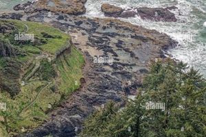 Your Guide to Cape Perpetua Oregon Hotels: Stays & Deals Living in Oregon: Moving Tips, Cost of Living & Best Cities Your Guide to Cape Perpetua Oregon Hotels: Stays & Deals | Living in Oregon: Moving Tips, Cost of Living & Best Cities