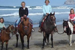 Best Horse Riding Lincoln City, OR: Trails & More! | Living in Oregon: Moving Tips, Cost of Living & Best Cities