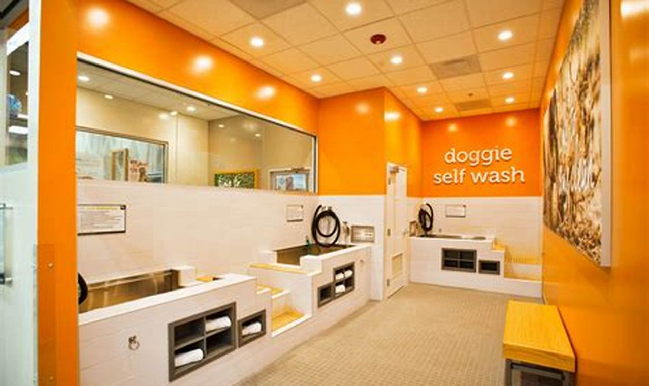 Self Dog Wash Portland Oregon | Living in Oregon: Moving Tips, Cost of Living & Best Cities