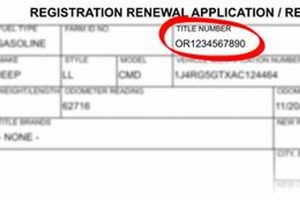 New to Oregon? Out-of-State Car Registration Made Easy | Living in Oregon: Moving Tips, Cost of Living & Best Cities