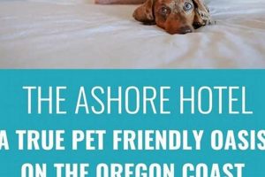 Find Pet Friendly Hotels in Seaside Oregon: Your Guide! | Living in Oregon: Moving Tips, Cost of Living & Best Cities