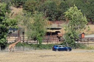 Find: Winston Oregon Hotels Near Wildlife Safari & Deals Living in Oregon: Moving Tips, Cost of Living & Best Cities Find: Winston Oregon Hotels Near Wildlife Safari & Deals | Living in Oregon: Moving Tips, Cost of Living & Best Cities