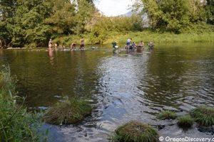 Visit Cantrall Buckley Park, Oregon: Nature Awaits! Living in Oregon: Moving Tips, Cost of Living & Best Cities Visit Cantrall Buckley Park, Oregon: Nature Awaits! | Living in Oregon: Moving Tips, Cost of Living & Best Cities