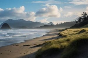 Find Your Netarts Oregon Hotels Stay + Deals! | Living in Oregon: Moving Tips, Cost of Living & Best Cities
