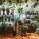 Houseplants Portland Oregon | Living in Oregon: Moving Tips, Cost of Living & Best Cities