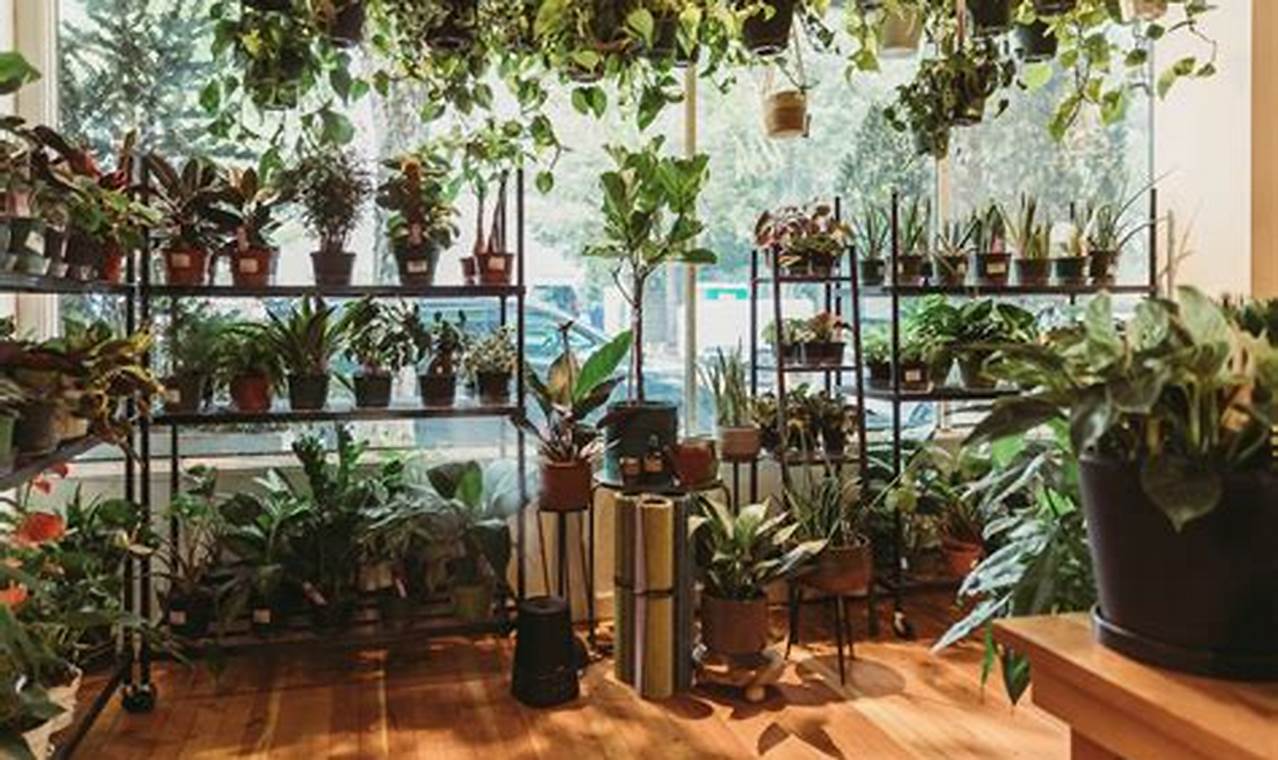 Houseplants Portland Oregon | Living in Oregon: Moving Tips, Cost of Living & Best Cities