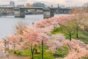 Oregon Spring Portland Oregon Living in Oregon: Moving Tips, Cost of Living & Best Cities Oregon Spring Portland Oregon | Living in Oregon: Moving Tips, Cost of Living & Best Cities
