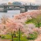 Oregon Spring Portland Oregon | Living in Oregon: Moving Tips, Cost of Living & Best Cities