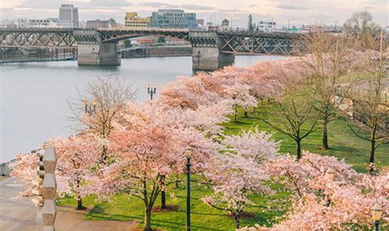 Oregon Spring Portland Oregon | Living in Oregon: Moving Tips, Cost of Living & Best Cities