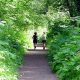 Discover Willamette Park Corvallis Oregon: Your Guide | Living in Oregon: Moving Tips, Cost of Living & Best Cities