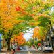 Portland Oregon September Weather: What to Expect + Tips | Living in Oregon: Moving Tips, Cost of Living & Best Cities
