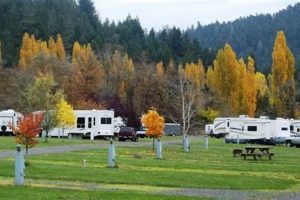 Roseburg Oregon RV Parks: Your Umpqua Valley Camping! | Living in Oregon: Moving Tips, Cost of Living & Best Cities