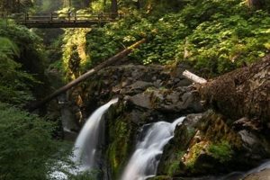 Road Trip! Portland Oregon to Olympic National Park Guide | Living in Oregon: Moving Tips, Cost of Living & Best Cities