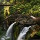 Road Trip! Portland Oregon to Olympic National Park Guide | Living in Oregon: Moving Tips, Cost of Living & Best Cities