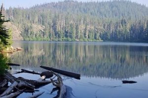 Explore: Benson Lake, Oregon - Hike & Camp! | Living in Oregon: Moving Tips, Cost of Living & Best Cities