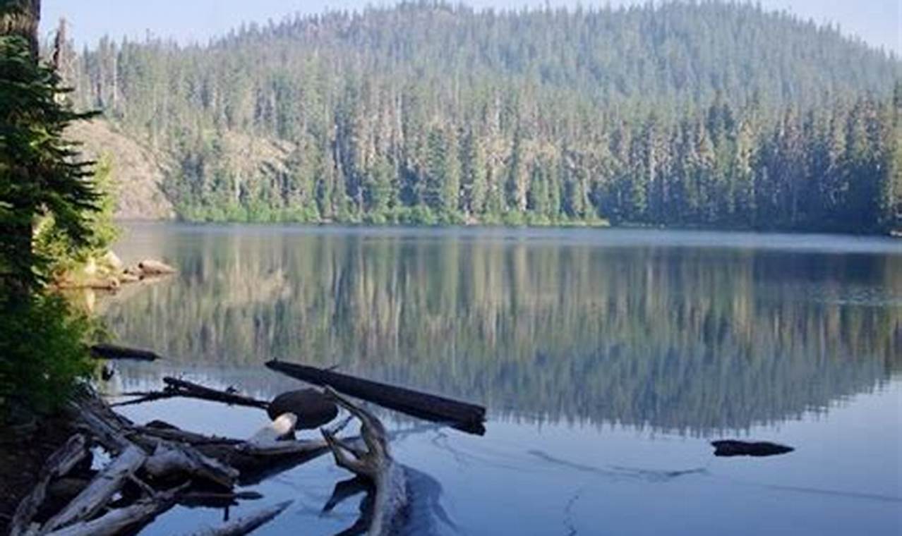 Explore: Benson Lake, Oregon - Hike & Camp! | Living in Oregon: Moving Tips, Cost of Living & Best Cities