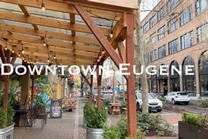 Your Guide: Top Kitchen Stores in Eugene, Oregon Today! | Living in Oregon: Moving Tips, Cost of Living & Best Cities