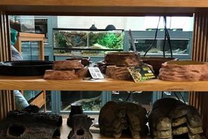 Reptile Store Portland Oregon | Living in Oregon: Moving Tips, Cost of Living & Best Cities