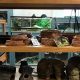 Reptile Store Portland Oregon | Living in Oregon: Moving Tips, Cost of Living & Best Cities