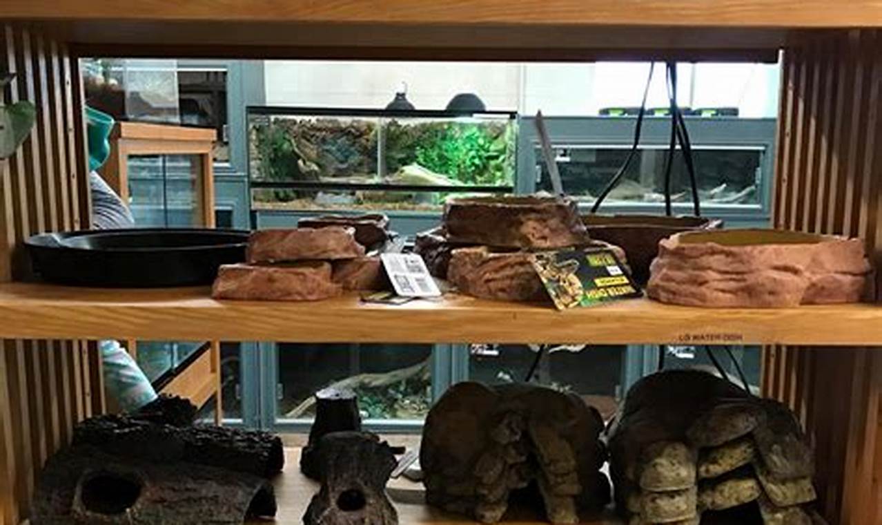 Reptile Store Portland Oregon | Living in Oregon: Moving Tips, Cost of Living & Best Cities