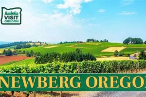 Newberg, OR City Jobs: Find Local Government Careers | Living in Oregon: Moving Tips, Cost of Living & Best Cities