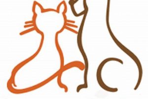 Central Oregon Humane Society Bend Oregon | Living in Oregon: Moving Tips, Cost of Living & Best Cities