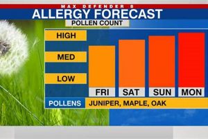 Eugene, OR: Latest Pollen Levels & Allergy Forecast | Living in Oregon: Moving Tips, Cost of Living & Best Cities