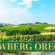 Find Your Newberg, OR Rental Home Today! | Living in Oregon: Moving Tips, Cost of Living & Best Cities